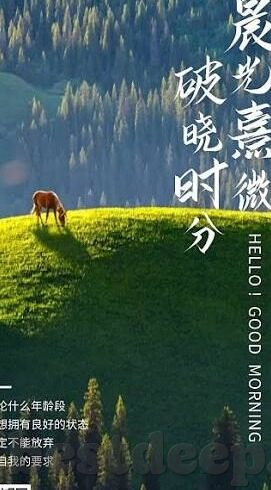 成人av视频网站-与网络伦理，界限与影响