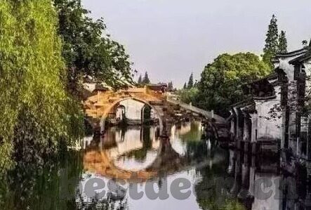 跟糖心直播差不多的app-探索多元视频直播平台的趣味性与多样性