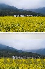 麻豆传媒映画映app下载-解锁娱乐新视界 —— 探索麻豆传媒映画映app的精彩世界