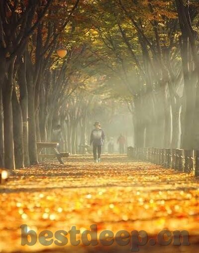 夜夜添无码试看一区二区三区-探索网络世界的边界，夜夜添无码试看一区二区三区的背后
